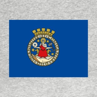 Flag of Oslo, Norway T-Shirt